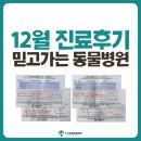정직 동물병원 | [12월 후기] 원주 동물병원 검색하고 찾은 병원