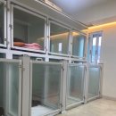 멍크라운 | 부산강아지호텔 해외여행 갔을 때 믿고 보낼 수 있는 멍크라운