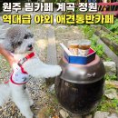 마루씨의잡화점 | 원주 애견동반 카페 '림카페' 야외 애견카페 계곡 정원과 강아지 산책 주차 정보