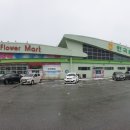 하나로플라워 - 고양시 덕양구 원당로 103 | 하나로플라워