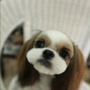 에바써니