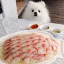 조종희망로 | 가평 회포장 맛집 현리 횟집 해오름수산 참숭어 제철회 포장 후기