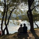 이모네분식 이미지