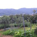 신세기공인중개사사무소 이미지