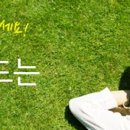 수원-0181 이미지