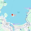 Re: 1951년 부산의 와이키키 해변(3)이 아닌 일본 .. 이미지