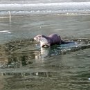 예산-01 이미지