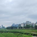 전북장애인연맹 | 2주(55hr) 공부로 한 번에 생활체육지도사 2급 합격한 후기 기록 _ 실기 &amp; 구술 🏊🏻‍♀️ 그리고 연수 후기까지