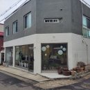 카페피고지고 이미지
