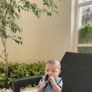 진우2목장 이미지