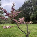 화배농장 이미지