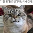 조랭이떡 별명 이미지