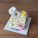 (사)대전여성장애인연대 | 26.02.28