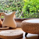 장전1038 이미지