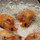 아키아키(AkiAki) 이미지