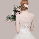 보나컴퍼니 이미지