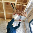 다온프라임 이미지