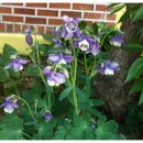 동산자연어린이집 이미지