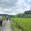 시외버스 터미널 사거리 이미지