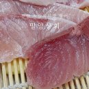 부산 남포동 자갈치 신동아시장 밀양상회 횟집 후기