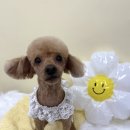 우연이미용실 이미지