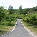 소선암매점 이미지