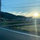 977포병대대마트 | 모든게 행복했던 <와라네코노야도> + 조식 / 석식 포함 후기 #笑ねこの宿 #Waraneko no Yado (=ↀωↀ=)