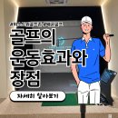 성원 스크린 골프 | 실외 연습장 vs 실내 연습장 배곧골프 무더위 속 진짜 후기