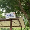 가평호두나무민박