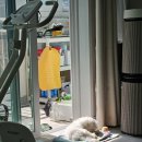 뭉치푸드 | 미역국탕면, 남도굴보쌈, 웰컴 김치찌개, 전어구이, 가마솥소머리곰탕, 남편 도시락, 뭉치 너무 귀여워♡