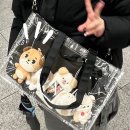 스케뛰는 김에 여행? 와 진짜 알차