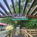 원주섬강자작나무숲길 이미지