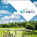 모든카써비스 티스토리