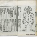 다수 비소 제004호 | 인류의 역사와 함께한 치명적인 유혹: 독과 약의 경계