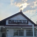 워킹애니멀스쿨 이미지