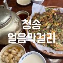 청송얼음막걸리형곡점 | 청주 사창동 맛집 l 청송얼음막걸리 충북대 해물파전 주전자막걸리 내돈내산 후기