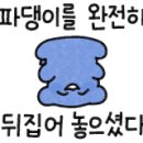 에쓰디 이미지