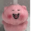 당진시 대덕1로2길 이미지