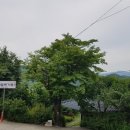 메기촌 네이버블로그