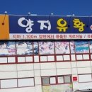 양지유황천