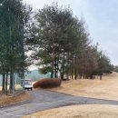 제이프라임 | 파주 제이퍼블릭 CC 이용 후기, 주말 오전 타임 예약 및 비용 정보 공유 (캐디피/카트비 정리)