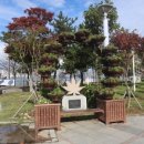 청초바이오 이미지