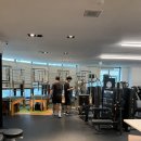 아나토미 스트랭스 이미지