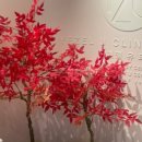 예젤유의원 이미지