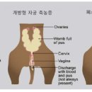 (주)고려메디칼 이미지