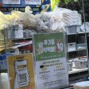 애완동물원 | 인천 실내 동물원 ㅣ 송도 테이블에이 이용 후기, 꿀팁!