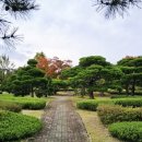 한밭동물병원 이미지