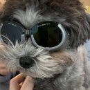 한걸음 동물병원 이미지