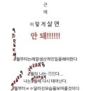 사오월