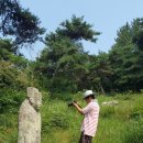금남 최부 묘소 이미지
